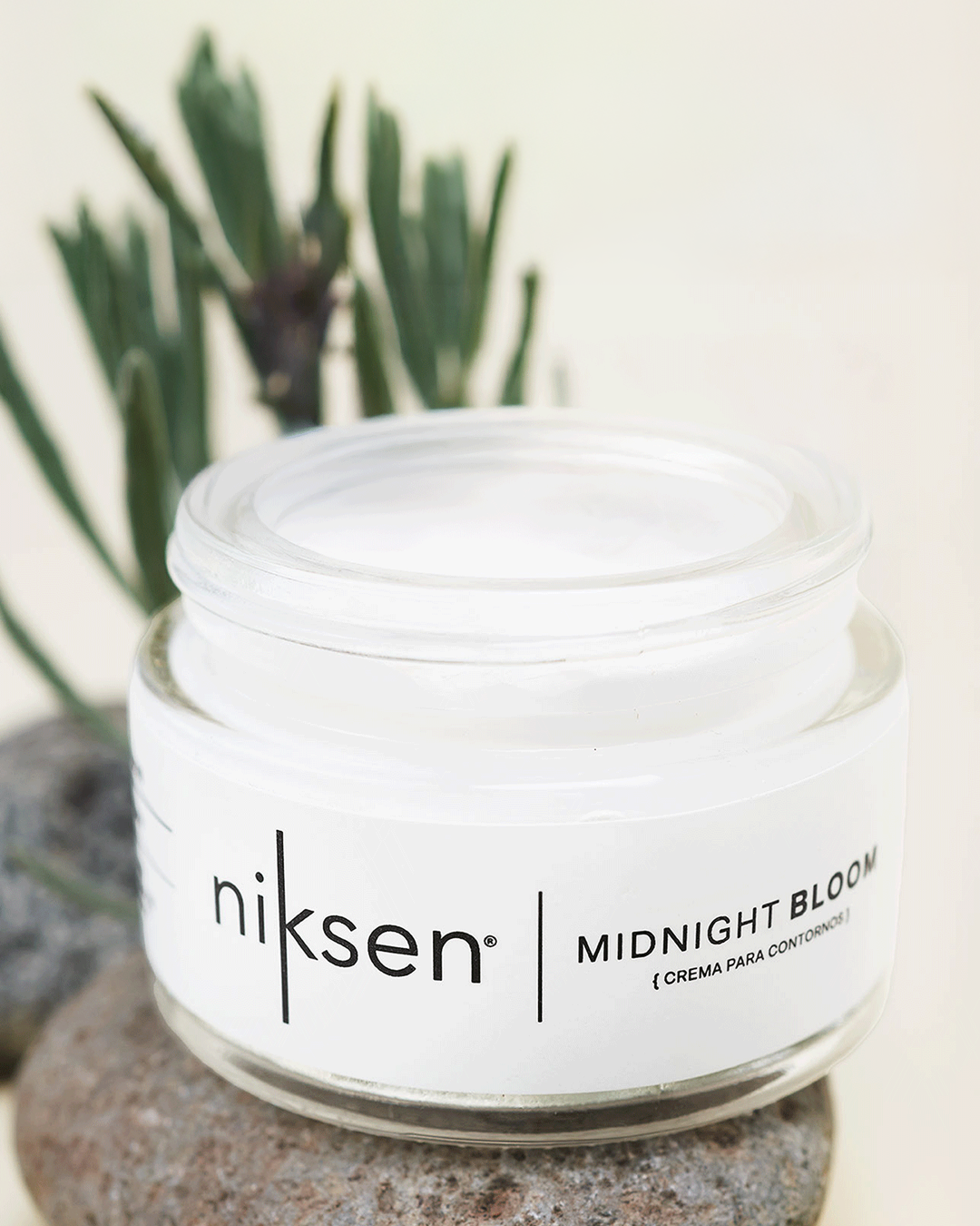 Midnight Bloom (Crema de contornos)